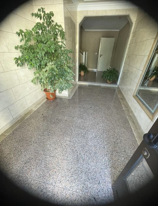 Limpeza de Prédios64529202103297124