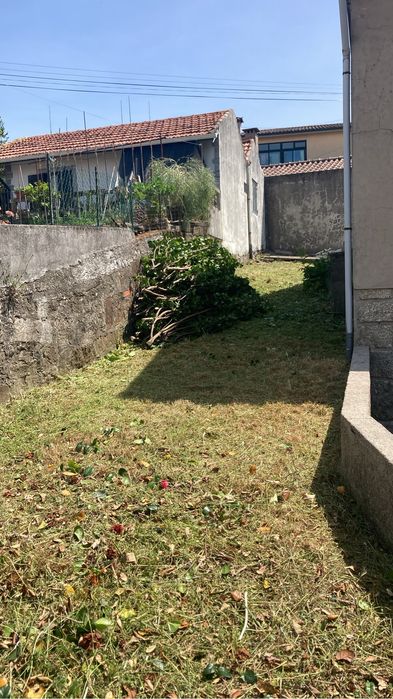 Limpezas de Terrenos e Florestais