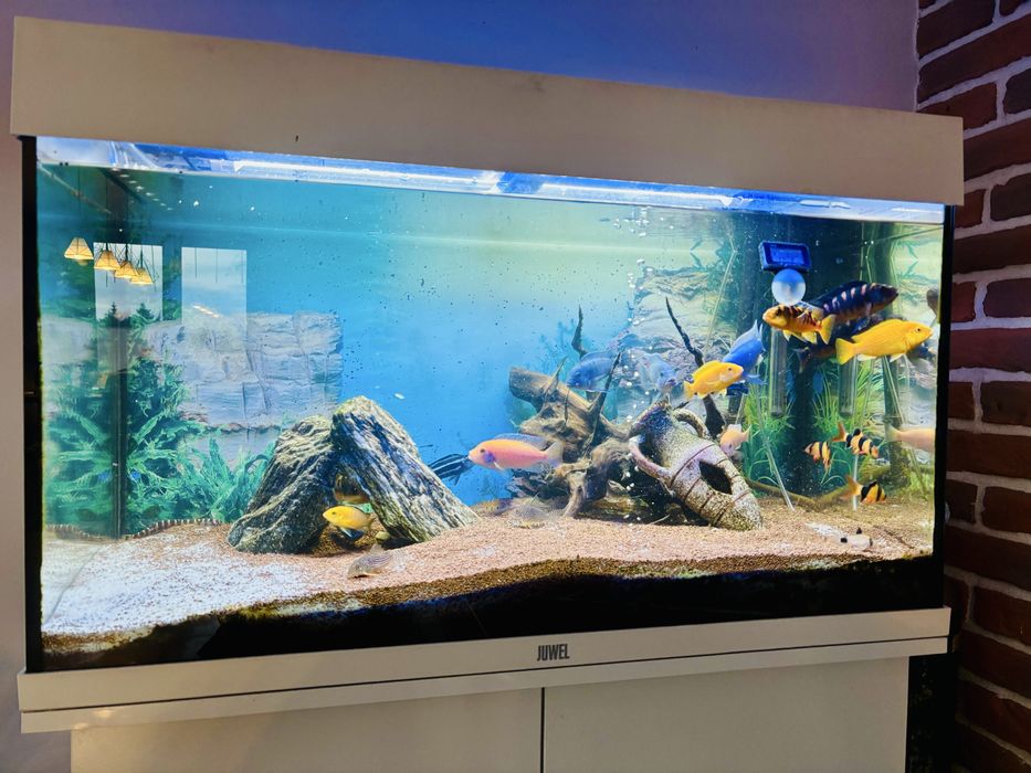Akwarium kompletne 125