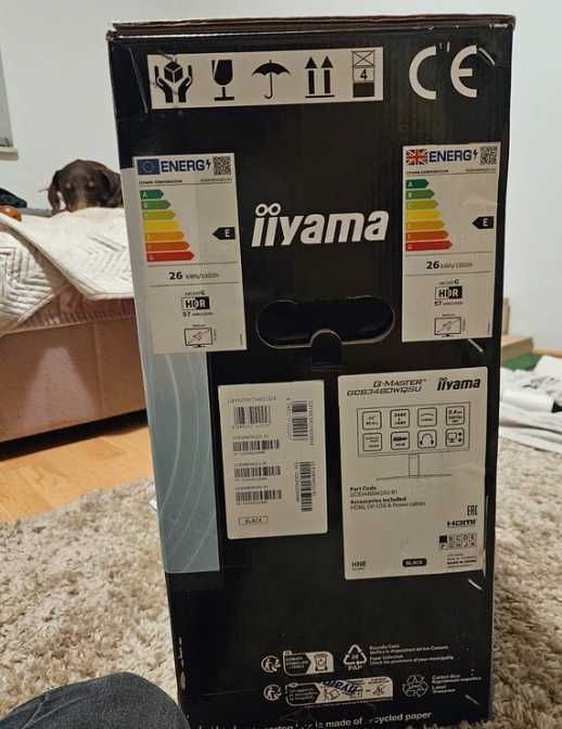Monitor Gamingowy Iiyama 34" zakrzywiony