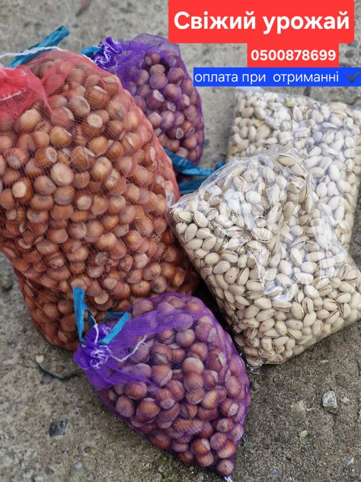 Фундук.  Свіжий урожай.  Горіх. Ліщина. Опт . Роздріб. Фісташка.  Мед.