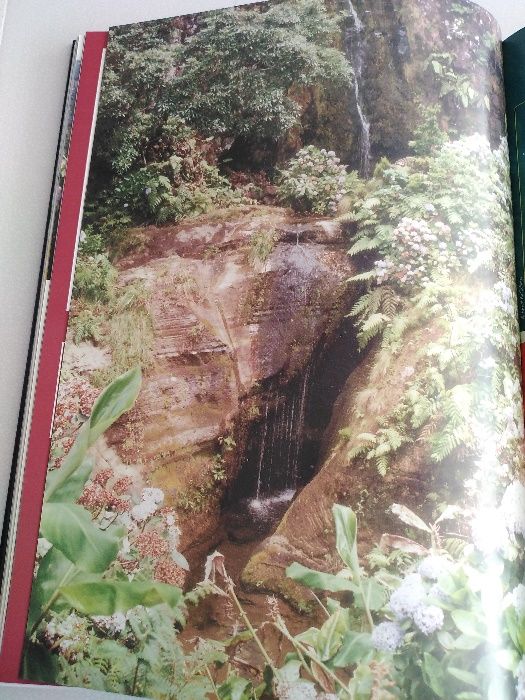 Livro Anuário de Ouro dos Açores 1998