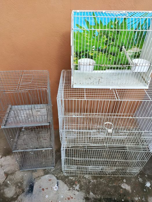 Viveiro para pássaros