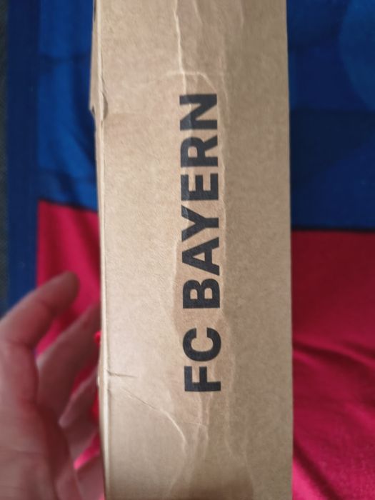 Bokserki Bayern Monachium