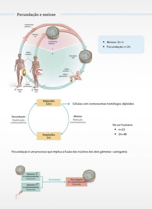 Resumos biologia 11º