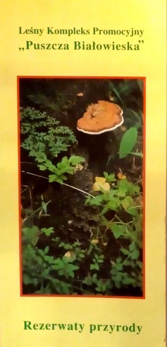 419 Leśny Kompleks Promocyjny Puszcza Białowieska (P) (28)