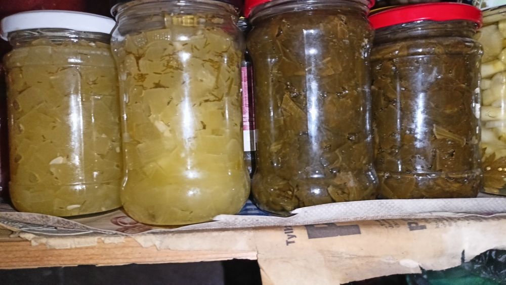 Szczaw z własnej działki w słoiku