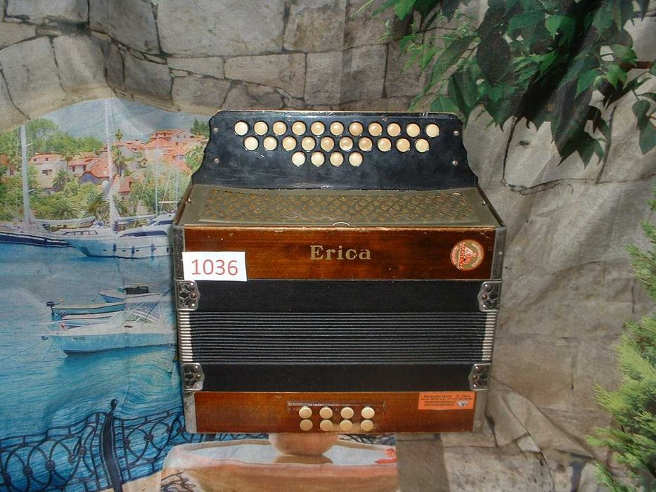 Concertina Avenda N .1036