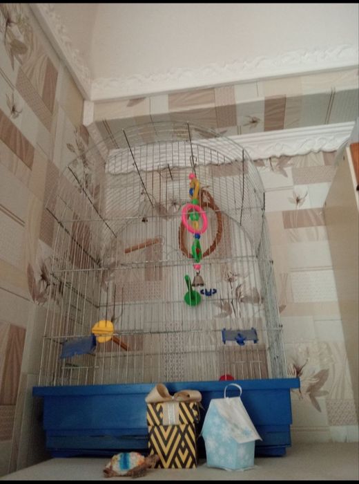 Клітка  для папуги