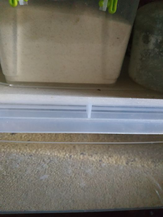 Меняю крупы любые (гречка, пшено, рис.,мука и так дале)на домашнии яца