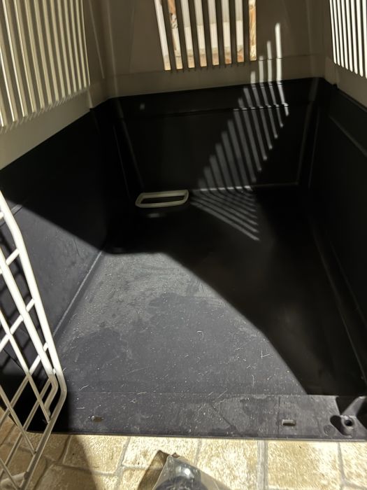 Caixa transporte animais