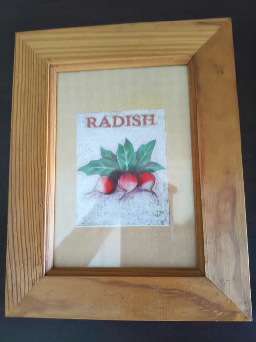 Par de Quadros Decorativos para Cozinha - Moldura em Madeira (23x18)