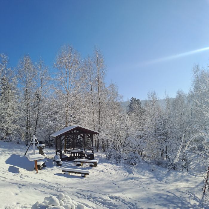 Domki do wynajęcia w  górach.