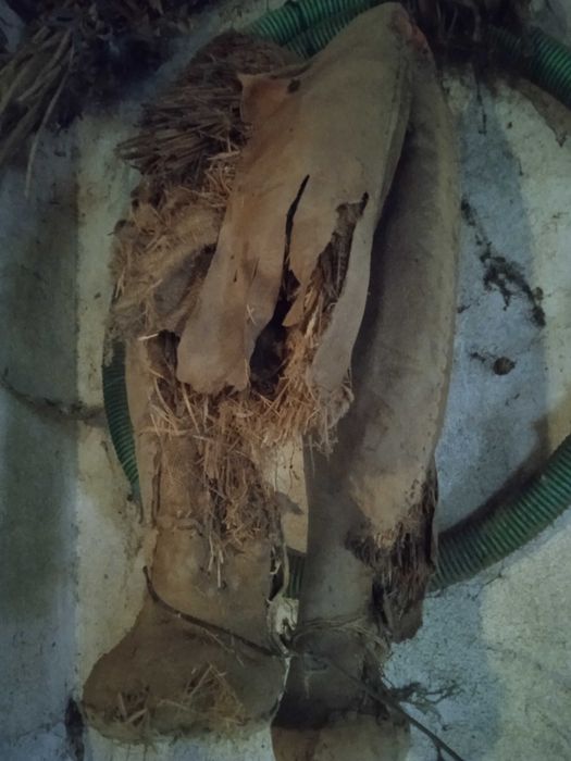 Colar/brunil/molim burro para restauro