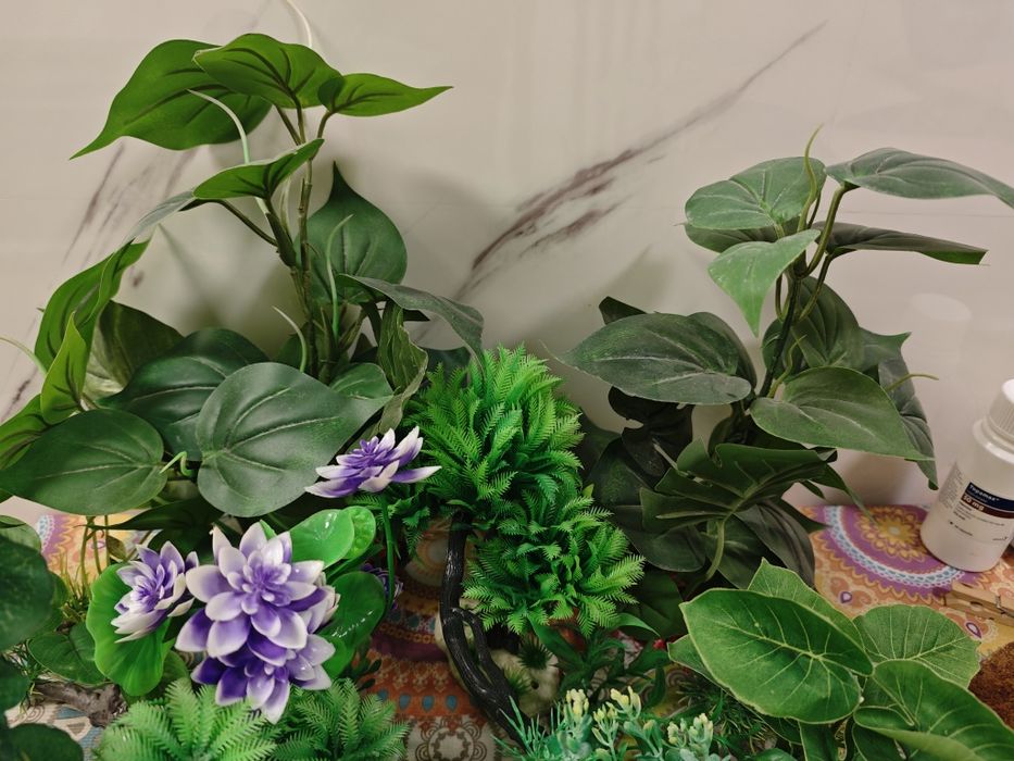 Aquario plantas platico