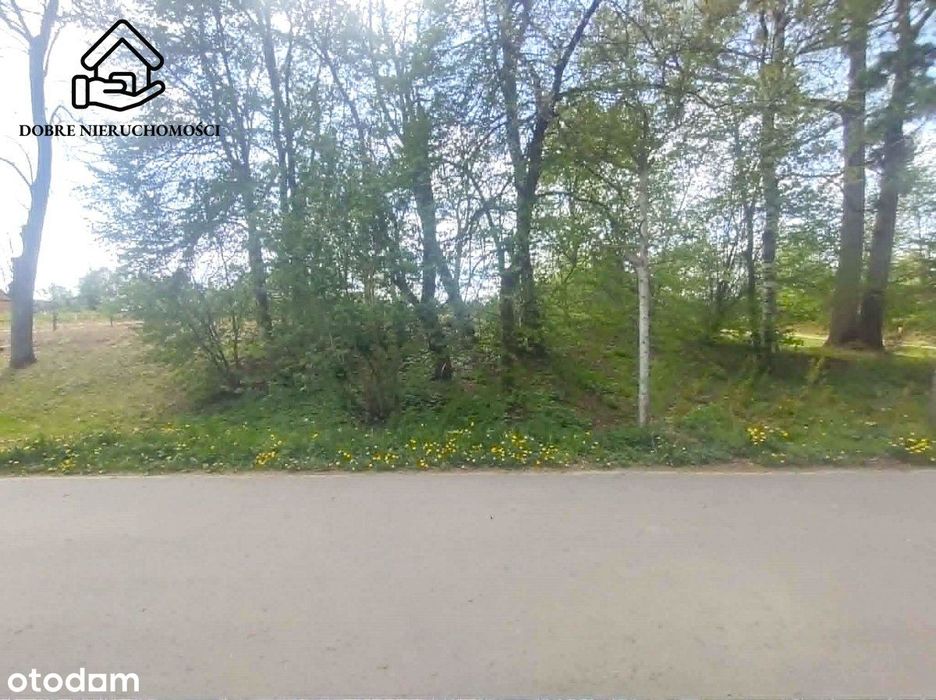 Wojciechów - 2800 m2