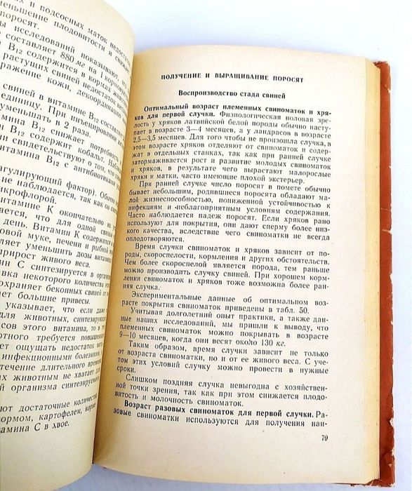 СВИНОВОДСТВО Беконное свиноводство руководство справочник Бренцис