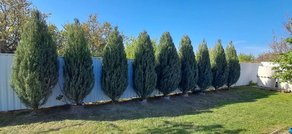 Сдаю Дом Соловьиная Роща