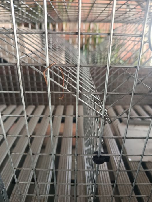 Coelheira Jaula para Coelhos - Nova