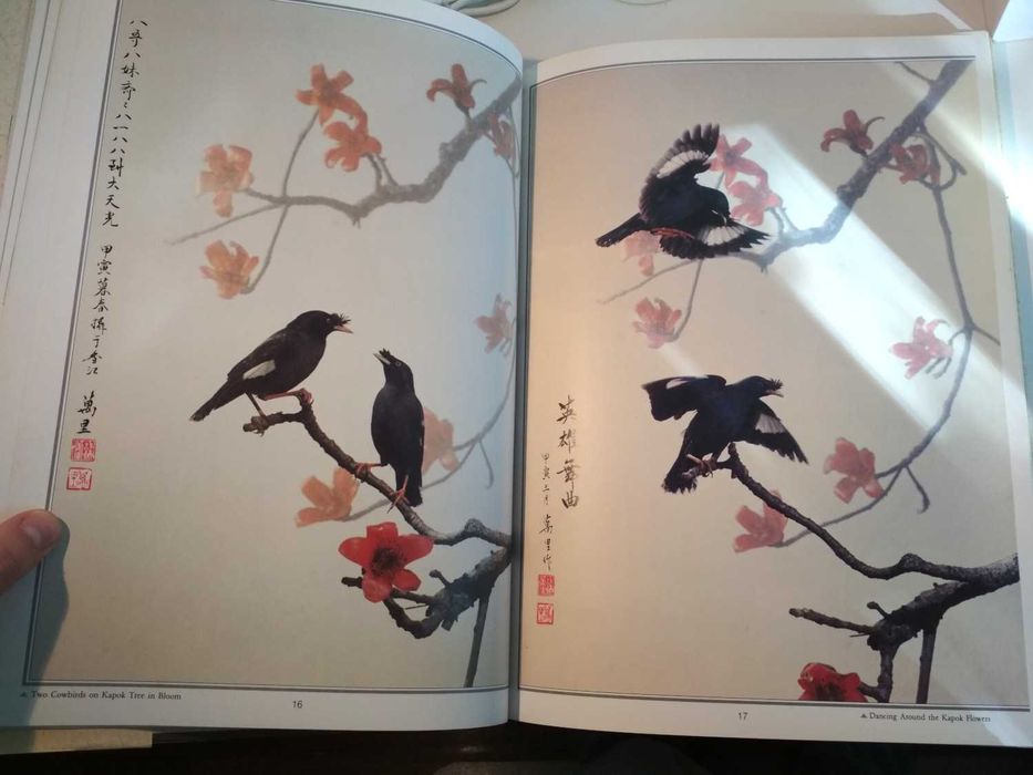 The Painterly Lens - Manly Chin (porte incluído)