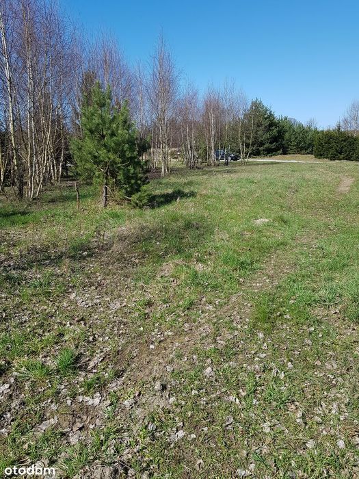 Piękna działka 1234 m² | MPZP | blisko Trójmiasta | bezpośrednio - Widok 3