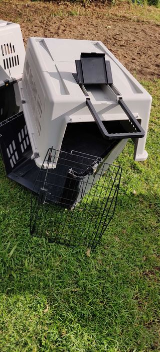 Caixa Transporte Animais XL