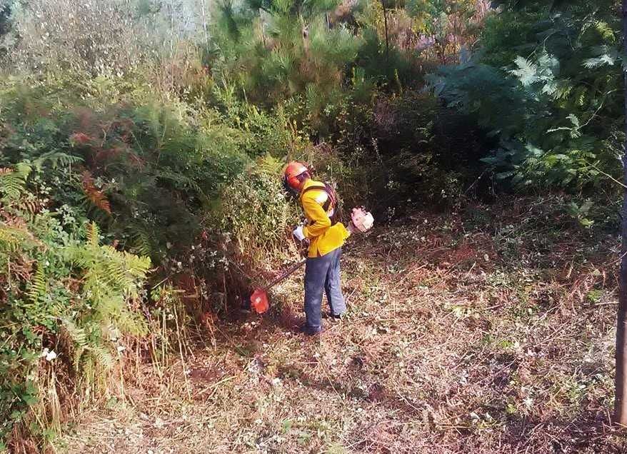 Manutençao/limpeza terrenos Jardins Pomares Casas Condominios Empresas