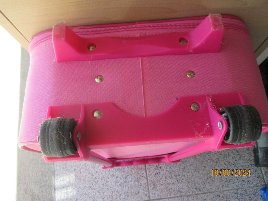 Trolley para criança - Elsa and Anna