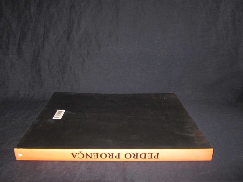 Livro Pedro Proença Assírio & Alvim