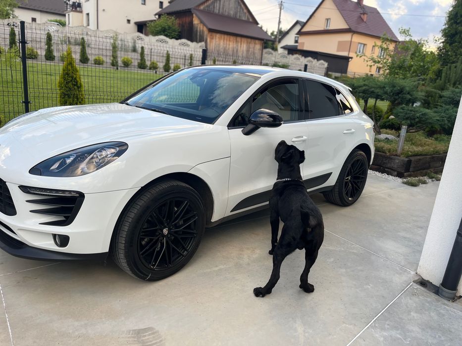 Porsche macan Macan