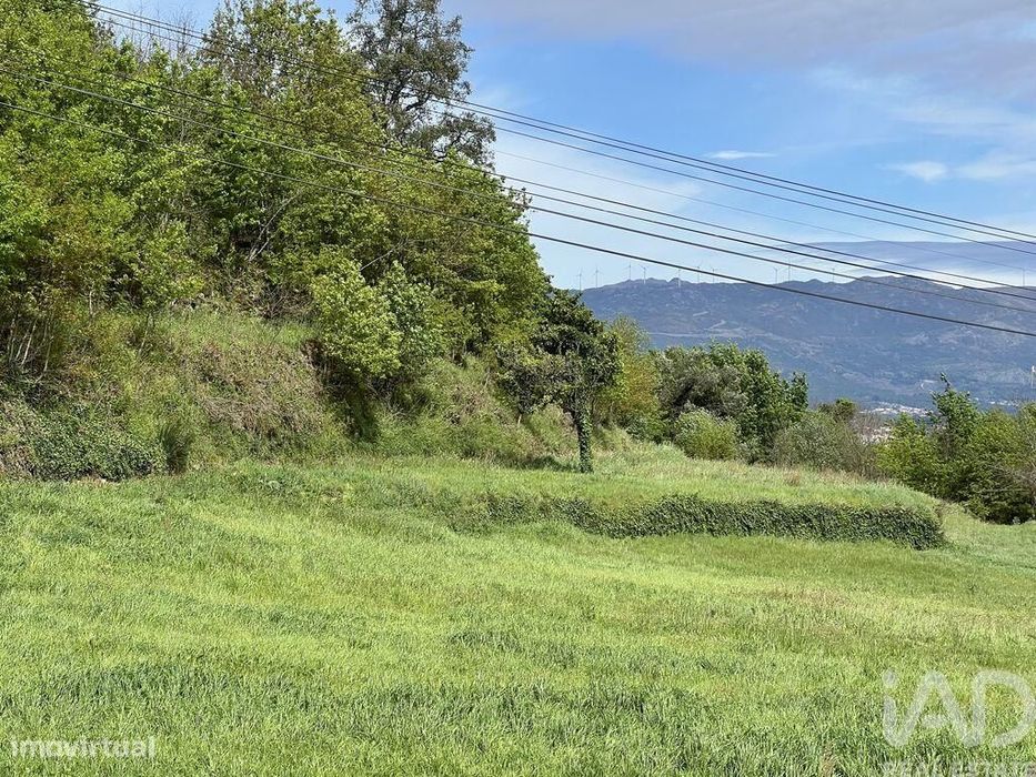 Terreno em Vouzela e Paços de Vilharigues de 26750,00 m2