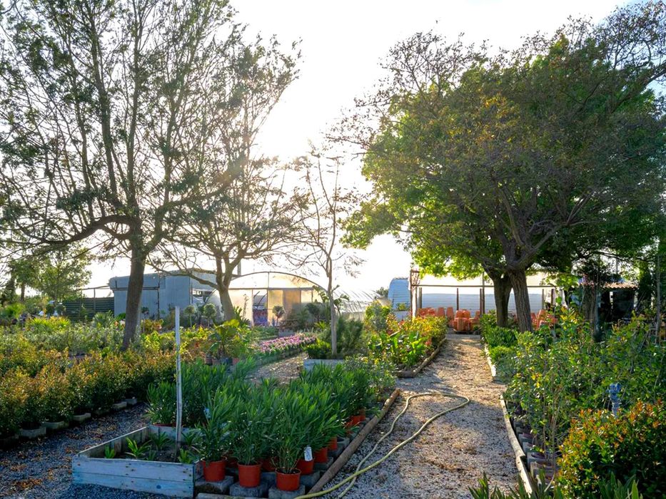 Centro de Jardinagem, Alentejo