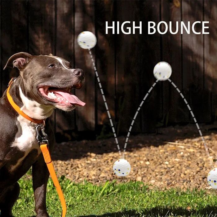 Прочный мяч для собак