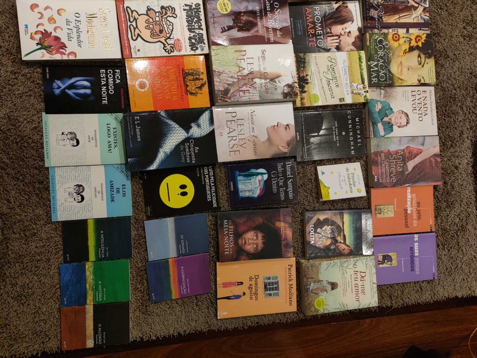 Livros Nora Roberts, Lesley Pearse, autores portugueses diversos