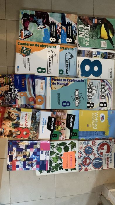 Manuais / Livros e Cadernos de Atividade (CA) 8 ano