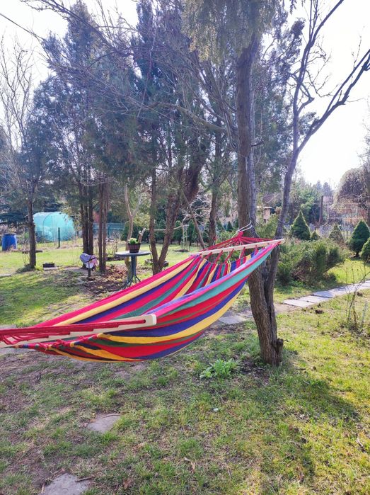 ROD Łódź – domek, taras, prąd/woda, ogród owocowy, gotowa