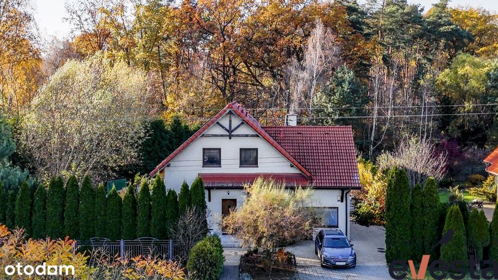 Dom bez rachunków za prąd. Cisza i las.