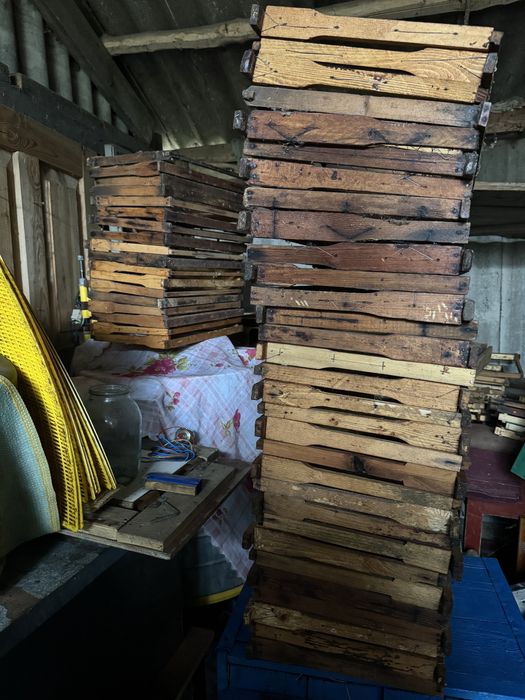 Бджолині Рамки з проволкою 300, дадан.