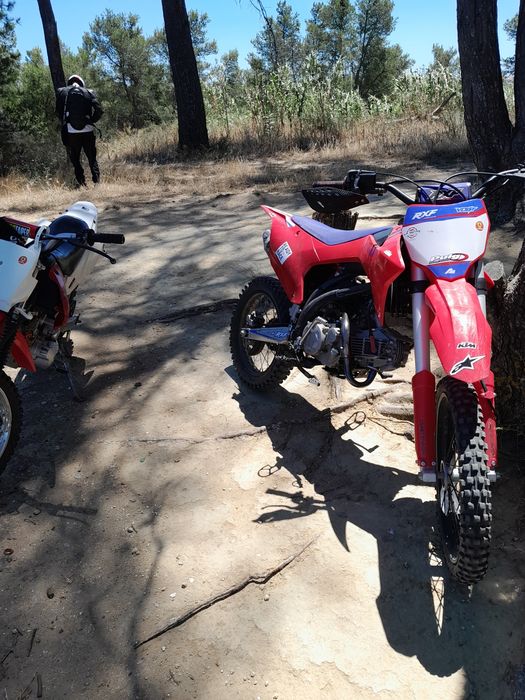 Vendo pit bik apollo 155cc
