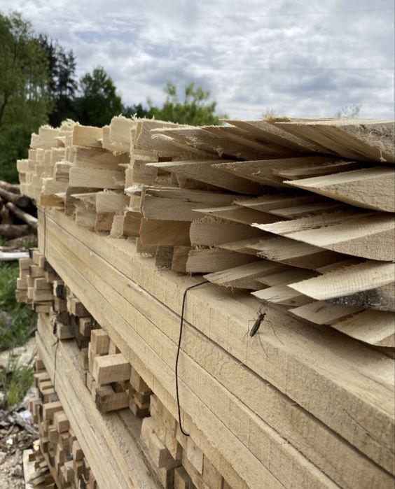 Paliki do pomidorów/ drzewek/ papryki/ melioracyjne