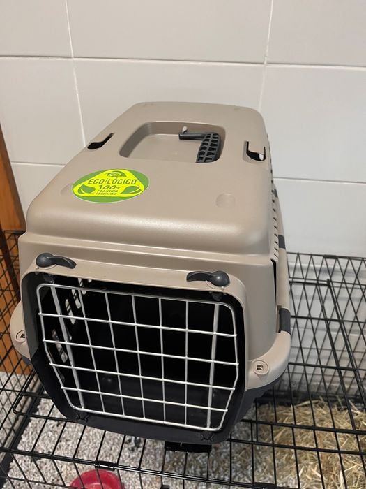 Coelho anão + acessórios (Opcional)