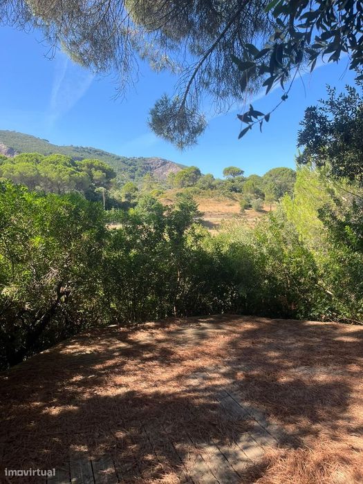 Herdade num ambiente verde