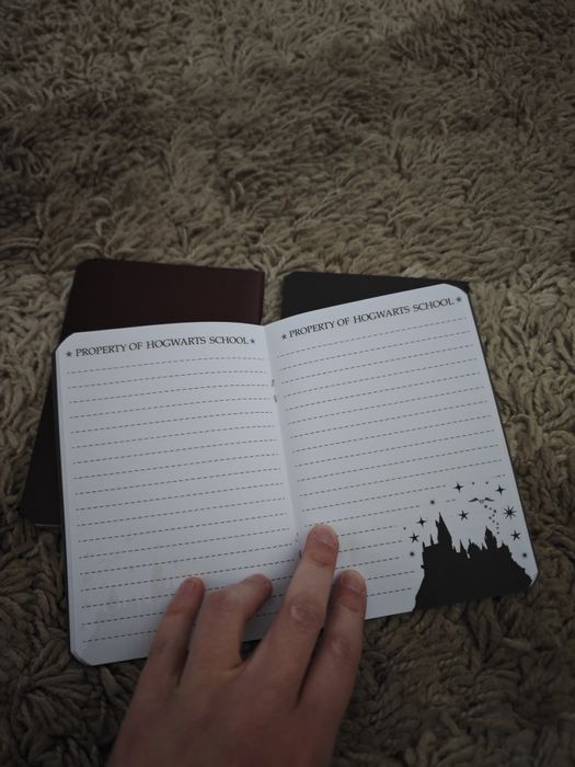 3 Cadernos de bolso Harry Potter