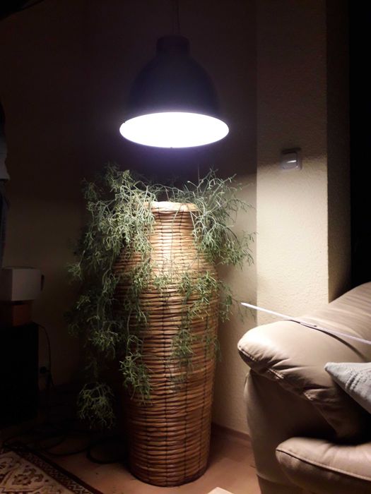 Lampa Philips Massive Max 75W/E27