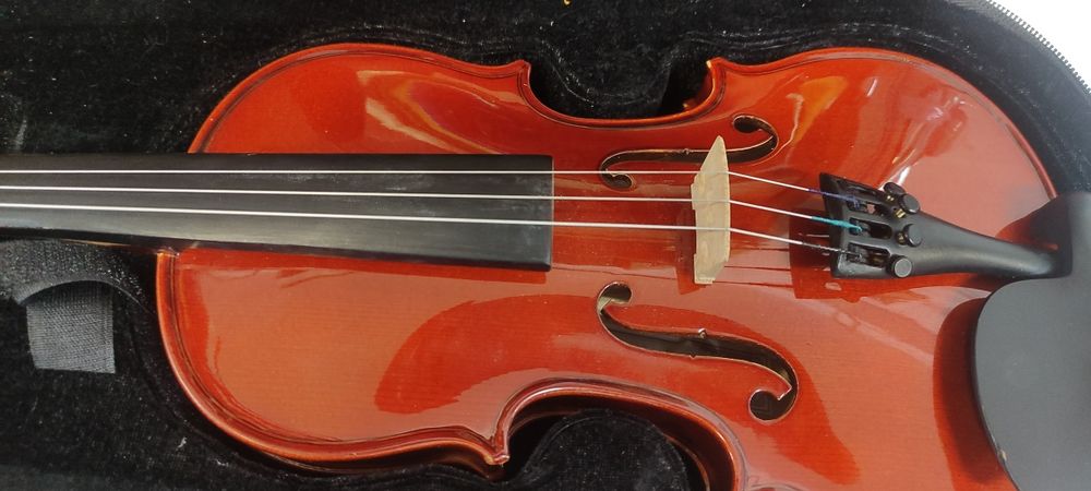 Violino em bom Estado