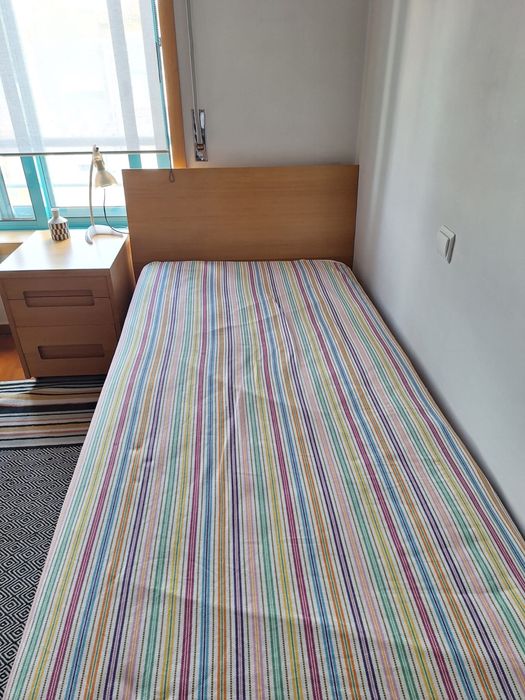 Cama Solteiro com Colchão Molaflex 90x190cm