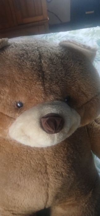 Ursinho de peluche fofinho