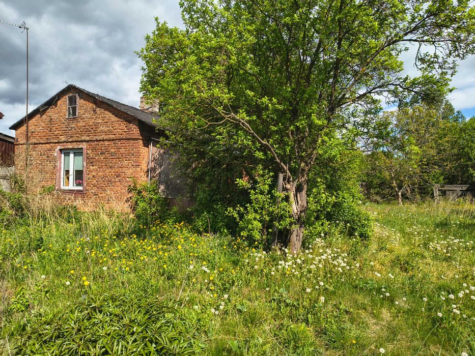 Na sprzedaż siedlisko z dużą działką – Rokiciny