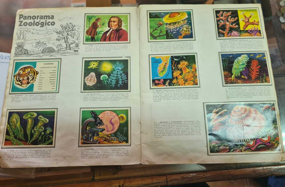 Caderneta completa de 250 cromos PANORAMA ZOOLOGICO