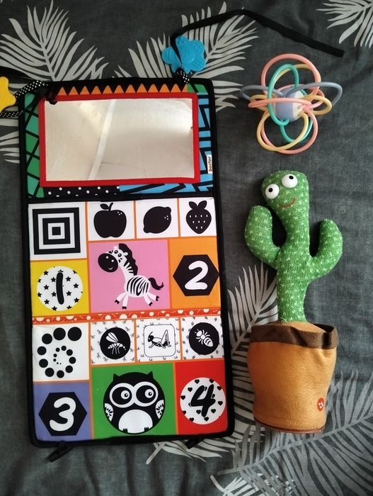 Лот іграшок, кактус, розвиваюча книга